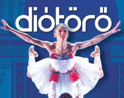 Diótörő