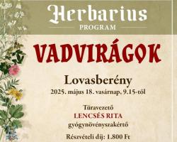 Vadvirágok – gyógynövénygyűjtő túra