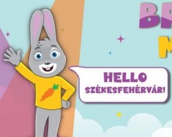 Előszilveszteri Brandnyúl Mini Disco