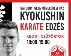 Kyokushin karate edzések a Gárdonyiban