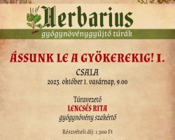 Ássunk le a gyökerekig! 1. – gyógynövénygyűjtő túra