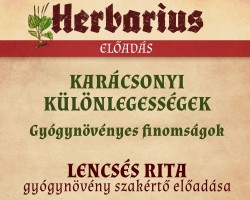 Karácsonyi különlegességek – Gyógynövényes finomságok