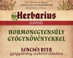 Hormonegyensúly gyógynövényekkel  –  előadás