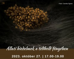 Állati hiedelmek a telihold fényében