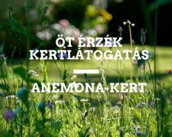 Öt érzék kertlátogatás az Anemona-kertben