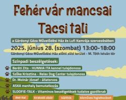 Fehérvár mancsai - Tacsi tali