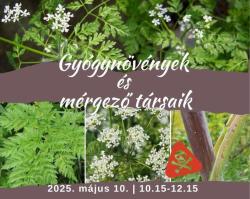 Gyógynövények és mérgező társaik - Ökotúra