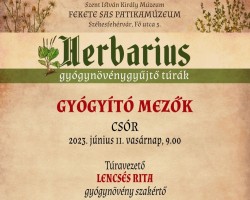 Herbarius – Gyógyító mezők