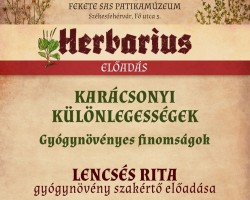 Karácsonyi különlegességek  – Gyógynövényes finomságok