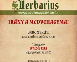 Irány a medvehagyma! – gyógynövénygyűjtő túra