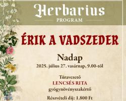 Érik a vadszeder – gyógynövénygyűjtő túra