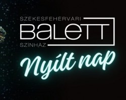 Nyílt nap a Székesfehérvári Balett Színházban • Második alkalom