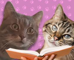 Őfelsége, a macska