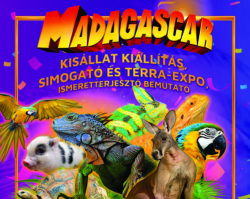 Madagascar kisállat kiállítás, simogató és terra-expo, ismeretterjesztő bemutató