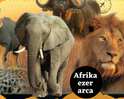 Afrika ezer arca