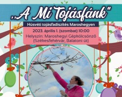 A Mi Tojásfánk