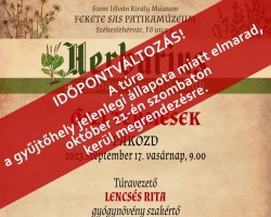 Őszi termések – gyógynövénygyűjtő túra