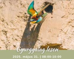 Gyurgyalag-lesen