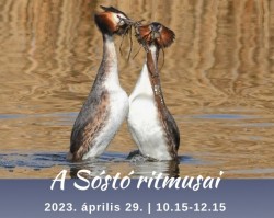 A Sóstó ritmusai ökotúra