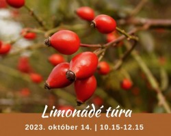 Limonádé túra