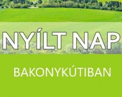 Nyílt nap a Bakonykútiban folyó feltáráson