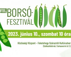 VIII. Borsófesztivál