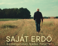 Saját erdő