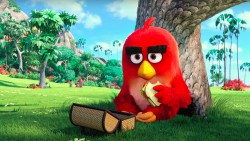 Angry Birds – A film 3D