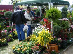 KERT-EXPO Mezőgazdasági és Kertészeti kiállítás és vásár