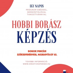 Hobbi Borász egynapos élmény képzés