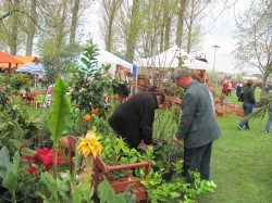 KERT-EXPO Mezőgazdasági és Kertészeti kiállítás és vásár