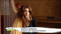 Kriesch Barbara hárfaművész kamarakoncertje