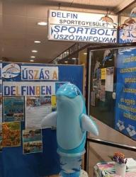 2025 Nyári Tábor Delfin Sportegyesület
