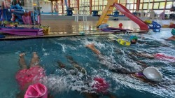 Delfin Sportegyesület - Úszó Nyári Tábor