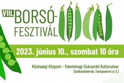VIII. Borsófesztivál